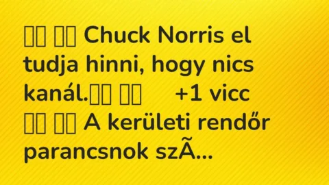 Viccek: 
		  
		  Chuck Norris el tudja hinni, hogy nics…