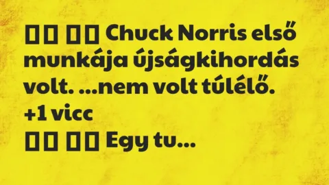 Viccek: 
		  
		  Chuck Norris első munkája újságkihordás volt….