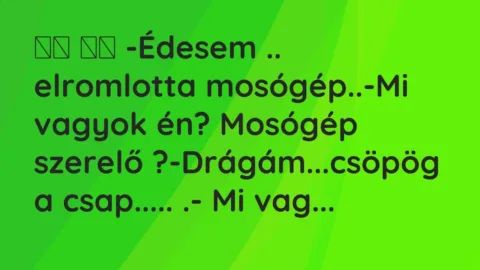Viccek: 
		  
		  -Édesem .. elromlotta mosógép..-Mi vagyok…