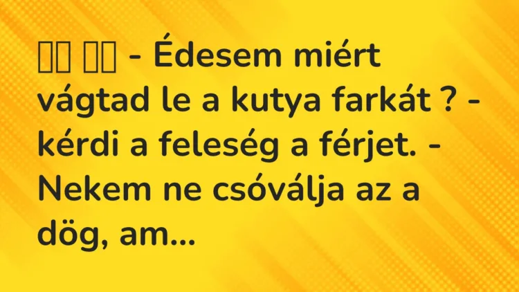 Viccek: – Édesem miért vágtad le a kutya farkát ? – kérdi… Viccek: – Édesem miért vágtad le a kutya farkát ? – kérdi…