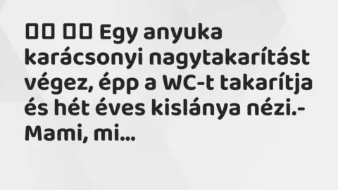 Viccek:
Egy anyuka karácsonyi nagytakarítást végez, épp a… Viccek:
Egy anyuka karácsonyi nagytakarítást végez, épp a…