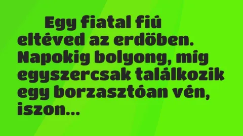 Viccek:
Egy fiatal fiú eltéved az erdőben. Napokig… Viccek:
Egy fiatal fiú eltéved az erdőben. Napokig…