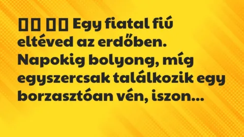 Viccek: 
		  
		  Egy fiatal fiú eltéved az erdőben. Napokig…