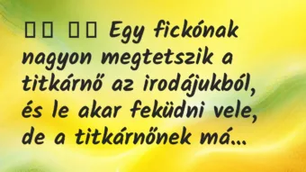 Viccek: Egy fickónak nagyon megtetszik a titkárnő az…