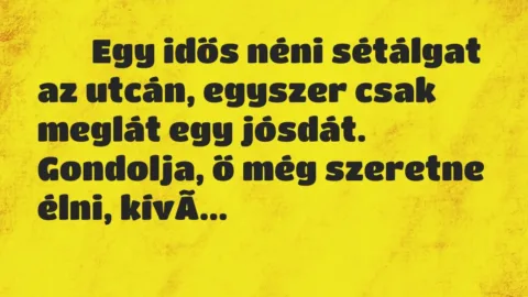 Viccek: 
		  
		  Egy idős néni sétálgat az utcán, egyszer csak…