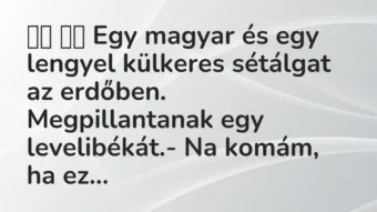 Viccek: Egy magyar és egy lengyel külkeres sétálgat az…