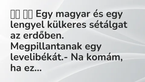 Viccek: 
		  
		  Egy magyar és egy lengyel külkeres sétálgat az…