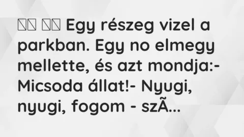 Viccek: 
		  
		  Egy részeg vizel a parkban. Egy no elmegy…