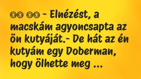 Viccek: 
		  
		  – Elnézést, a macskám agyoncsapta az ön…