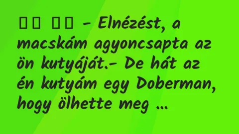 Viccek: 
		  
		  – Elnézést, a macskám agyoncsapta az ön…