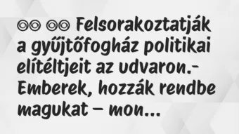 Viccek: Felsorakoztatják a gyűjtőfogház politikai…