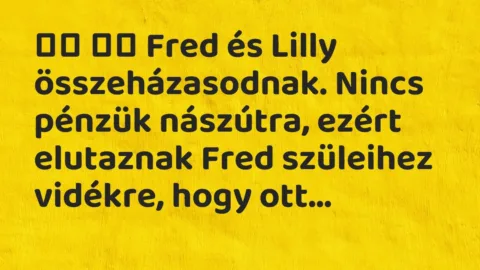 Viccek: 
		  
		  Fred és Lilly összeházasodnak. Nincs pénzük…