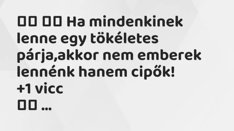 Viccek: Ha mindenkinek lenne egy tökéletes párja,akkor…