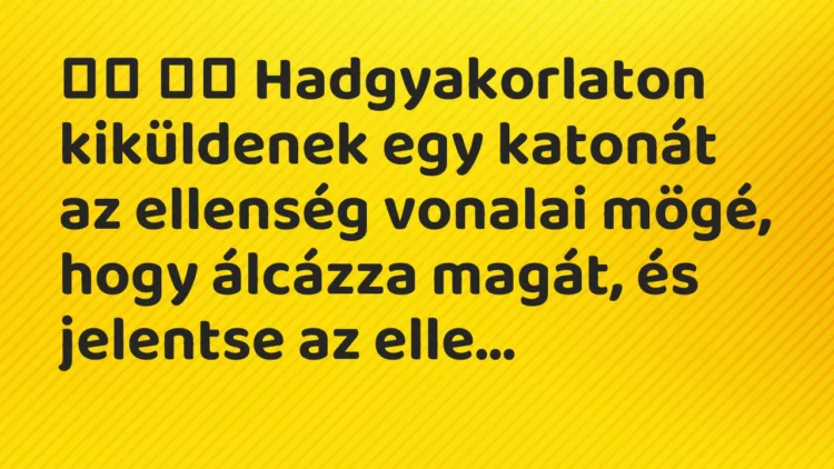 Viccek: Hadgyakorlaton kiküldenek egy katonát az ellenség… Viccek: Hadgyakorlaton kiküldenek egy katonát az ellenség…