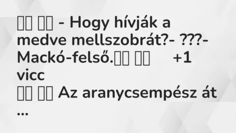 Viccek: 
		  
		  – Hogy hívják a medve mellszobrát?- ???- …
