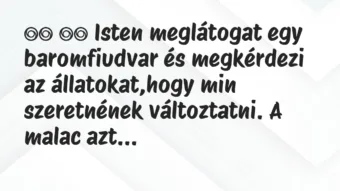 Viccek: Isten meglátogat egy baromfiudvar és megkérdezi a…