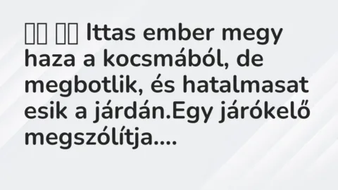 Viccek: 
		  
		  Ittas ember megy haza a kocsmából, de megbotlik, …