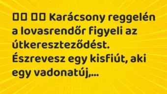 Viccek: Karácsony reggelén a lovasrendőr figyeli az… Viccek: Karácsony reggelén a lovasrendőr figyeli az…