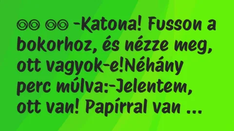 Viccek: 
		  
		  -Katona! Fusson a bokorhoz, és nézze meg, ott…