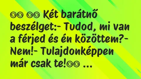 Viccek: 
		  
		  Két barátnő beszélget:- Tudod, mi van a…