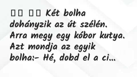 Viccek: 
		  
		  Két bolha dohányzik az út szélén. Arra megy egy…