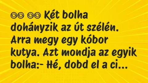 Viccek: 
		  
		  Két bolha dohányzik az út szélén. Arra megy egy…