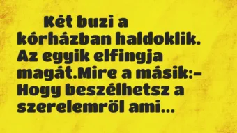 Viccek: Két buzi a kórházban haldoklik. Az egyik elfingja… Viccek: Két buzi a kórházban haldoklik. Az egyik elfingja…