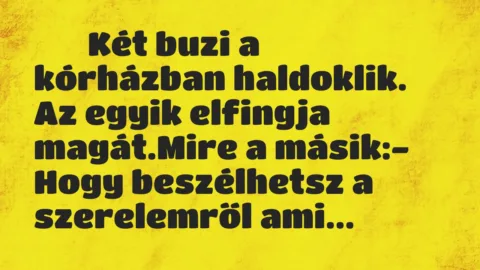 Viccek: 
		  
		  Két buzi a kórházban haldoklik. Az egyik elfingja…