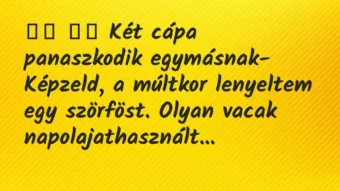 Viccek: Két cápa panaszkodik egymásnak- Képzeld, a…