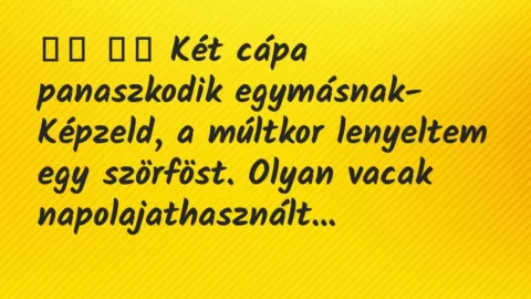 Viccek:
Két cápa panaszkodik egymásnak- Képzeld, a… Viccek:
Két cápa panaszkodik egymásnak- Képzeld, a…
