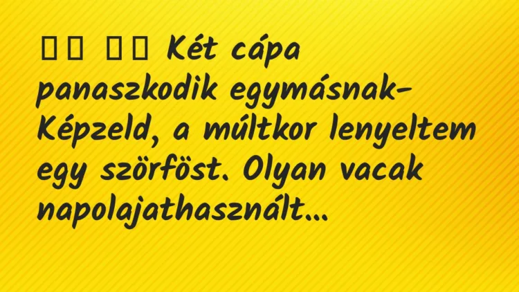 Viccek: Két cápa panaszkodik egymásnak- Képzeld, a…