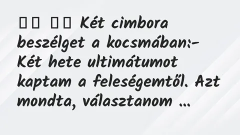 Viccek:
Két cimbora beszélget a kocsmában:- Két hete … Viccek:
Két cimbora beszélget a kocsmában:- Két hete …