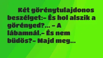 Viccek: Két görénytulajdonos beszélget:- És hol a… Viccek: Két görénytulajdonos beszélget:- És hol a…