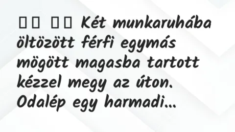 Viccek: 
		  
		  Két munkaruhába öltözött férfi egymás mögött…