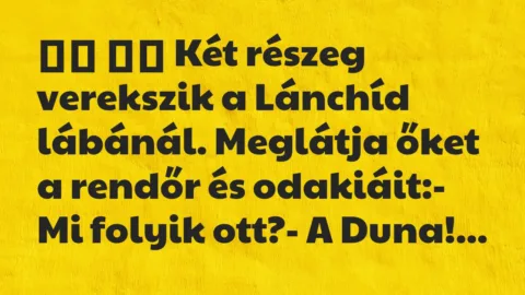 Viccek:
Két részeg verekszik a Lánchíd lábánál. Meglátja … Viccek:
Két részeg verekszik a Lánchíd lábánál. Meglátja …