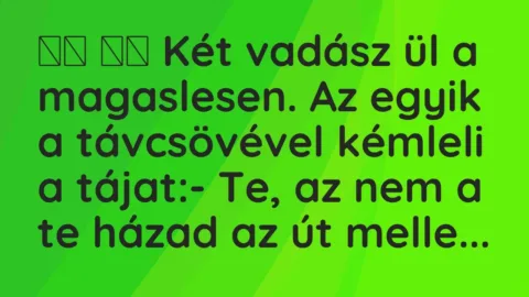 Viccek: 
		  
		  Két vadász ül a magaslesen. Az egyik a…