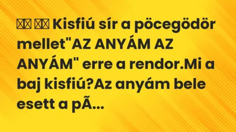 Viccek:
Kisfiú sír a pöcegödör mellet”AZ ANYÁM AZ ANYÁM” … Viccek:
Kisfiú sír a pöcegödör mellet”AZ ANYÁM AZ ANYÁM” …