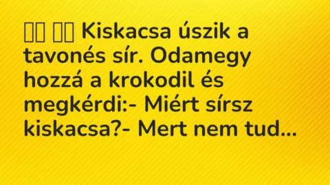 Viccek: 
		  
		  Kiskacsa úszik a tavonés sír. Odamegy hozzá a…