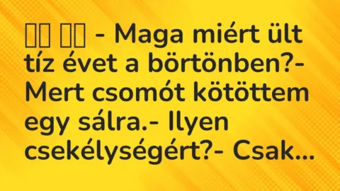 Viccek: 
		  
		  – Maga miért ült tíz évet a börtönben?- Mert …