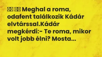 Viccek: Meghal a roma, odafent találkozik Kádár…