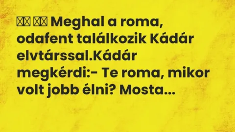 Viccek: 
		  
		  Meghal a roma, odafent találkozik Kádár…