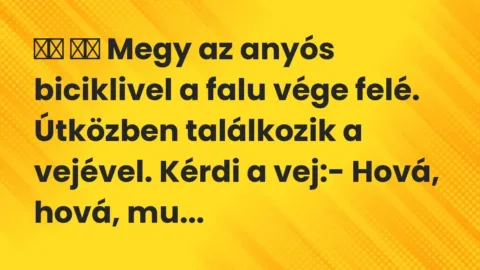 Viccek: 
		  
		  Megy az anyós biciklivel a falu vége felé….