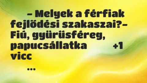 Viccek: 
		  
		  – Melyek a férfiak fejlődési szakaszai?- Fiú,…