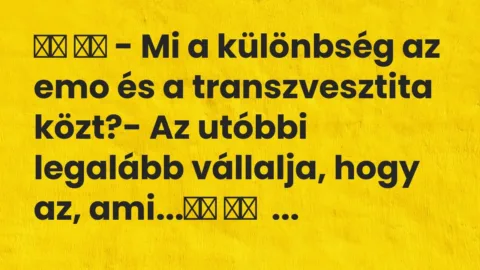 Viccek: 
		  
		  – Mi a különbség az emo és a transzvesztita…