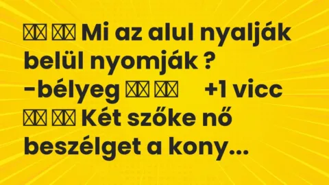 Viccek: 
		  
		  Mi az alul nyalják belül nyomják ?…