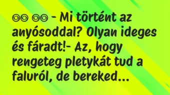 Viccek: – Mi történt az anyósoddal? Olyan ideges és…