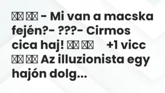 Viccek: – Mi van a macska fején?- ???- Cirmos…