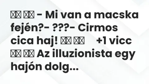 Viccek: 
		  
		  – Mi van a macska fején?- ???- Cirmos…