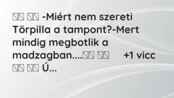 Viccek: -Miért nem szereti Törpilla a tampont?-Mert… Viccek: -Miért nem szereti Törpilla a tampont?-Mert…