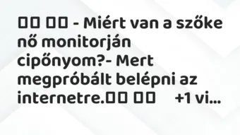 Viccek: – Miért van a szőke nő monitorján cipőnyom?- …
